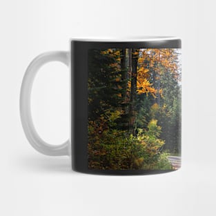 Šumava Forest 1 Mug